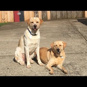 Meet your Posher, Gregory